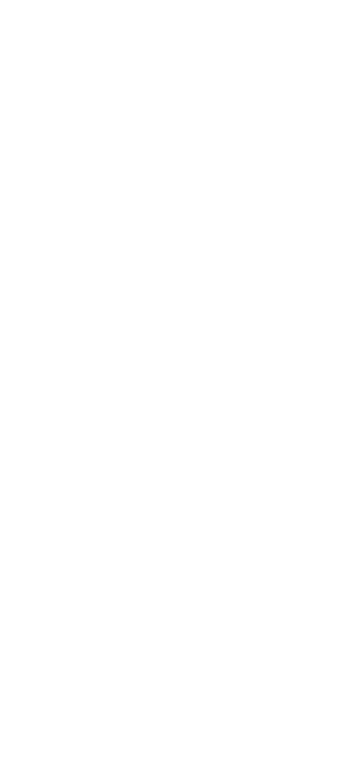 decorative line
